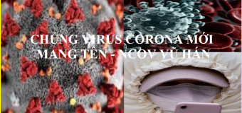 Virus Corona Xuất phát ở đâu?