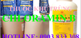 Mua thuốc khử trùng Chloramin B