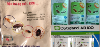 Thuốc diệt mối kiến chuẩn nhất 113