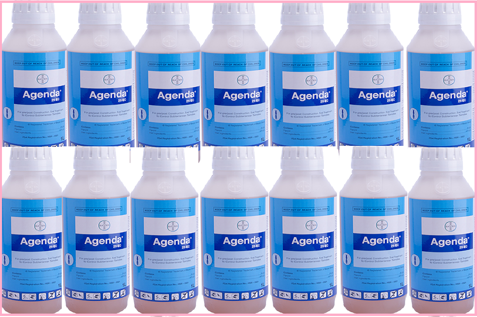 Phòng mối công trình bằng thuốc Agenda 25EC