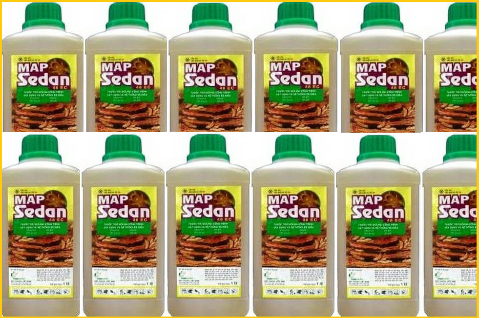 Phòng mối công trình bằng thuốc Map Sedan 48EC
