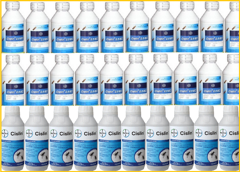 Phòng mối công trình bằng thuốc Cislin 2.5EC
