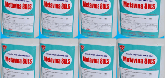 Bán thuốc diệt mối sinh học Metavina 80LS