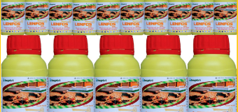 Mẹo diệt mối bằng thuốc diệt mối Lenfos 50EC