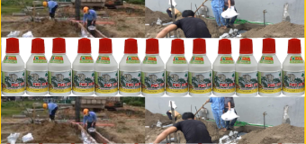 Phòng mối công trình bằng thuốc PMC 90