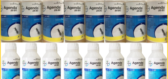 Bán thuốc phòng mối Agenda 25EC chất lượng