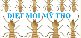 Diệt mối mẹo độc nhất