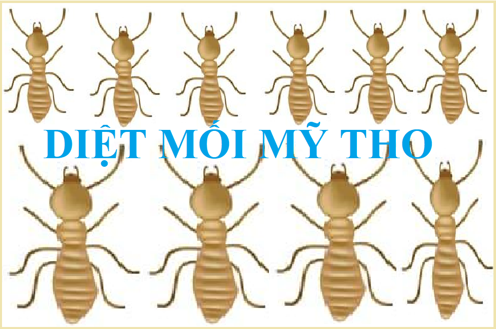 Diệt mối mẹo độc nhất