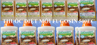 Mua thuốc diệt mối Fugosin 500EC Singapore