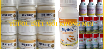 Mách bạn thuốc diệt mối loại nào không mùi hôi
