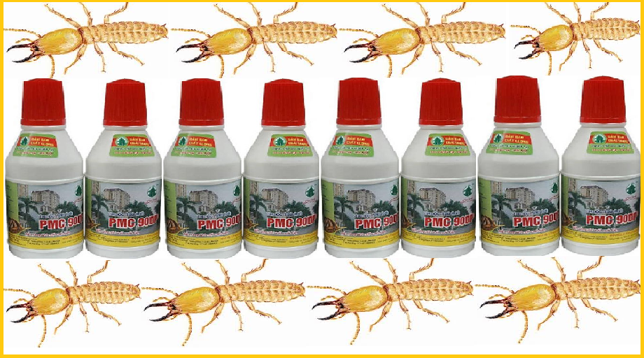 Diệt mối Phủ Lý Tỉnh Hà Nam
