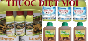 Bán thuốc diệt mối Lazada rẻ