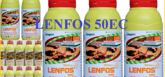 Thuốc phòng mối công trình Lenfos 50EC tốt nhất