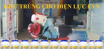 Khử trùng cho Tập đoàn Điện Lực EVN