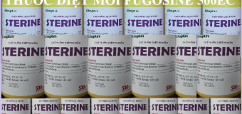 Mua thuốc khử trùng Sterine Hợp Trí