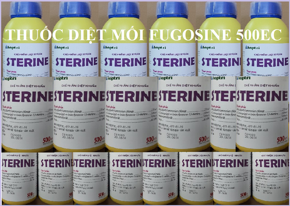 Mua thuốc khử trùng Sterine Hợp Trí