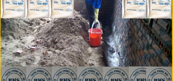 Phương pháp phòng mối công trình bằng thuốc PMS 100