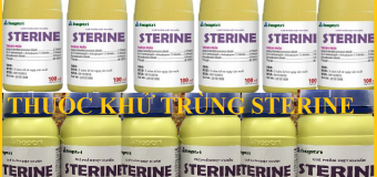 Bán thuốc phòng chống dịch Covid 19 Sterine