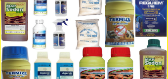 Thứ tự các loại thuốc diệt mối tốt nhất 2020