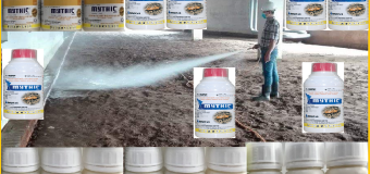 Phòng mối công trình bằng thuốc Mythic 240SC