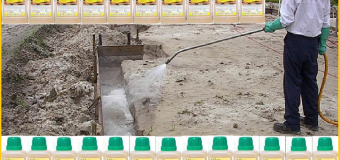 Phòng mối công trình bằng thuốc Map Sedan 48EC