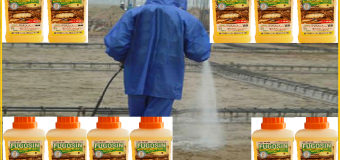 Phòng mối công trình bằng thuốc Fugosin 500EC