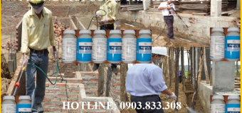 Diệt mối Sài Gòn hcm