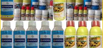 Diệt mối quận 3 hcm