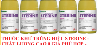 Mách bạn cách mua thuốc khử trùng Sterine