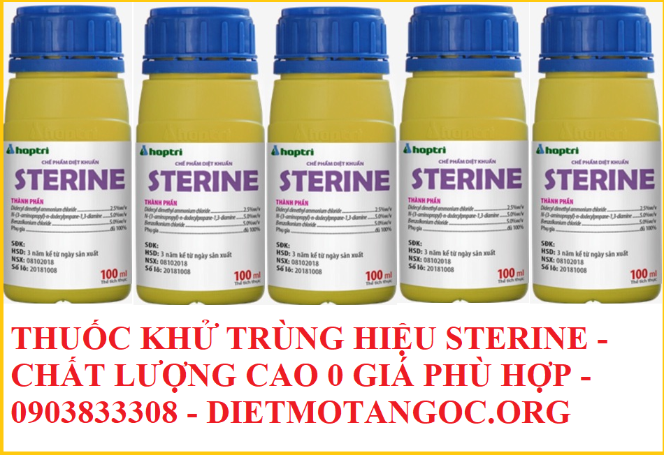 Mách bạn cách mua thuốc khử trùng Sterine