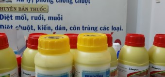 Diệt mối Vĩnh Yên giá rẻ 24