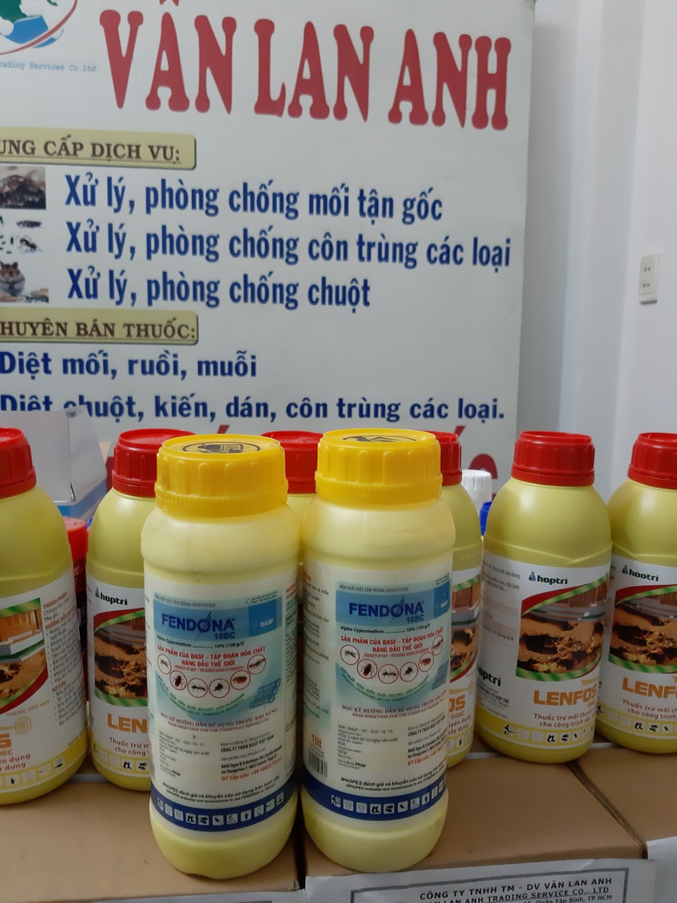 Diệt mối Vĩnh Yên giá rẻ 24