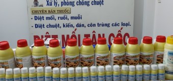 Diệt mối văn phòng giá rẻ nhất