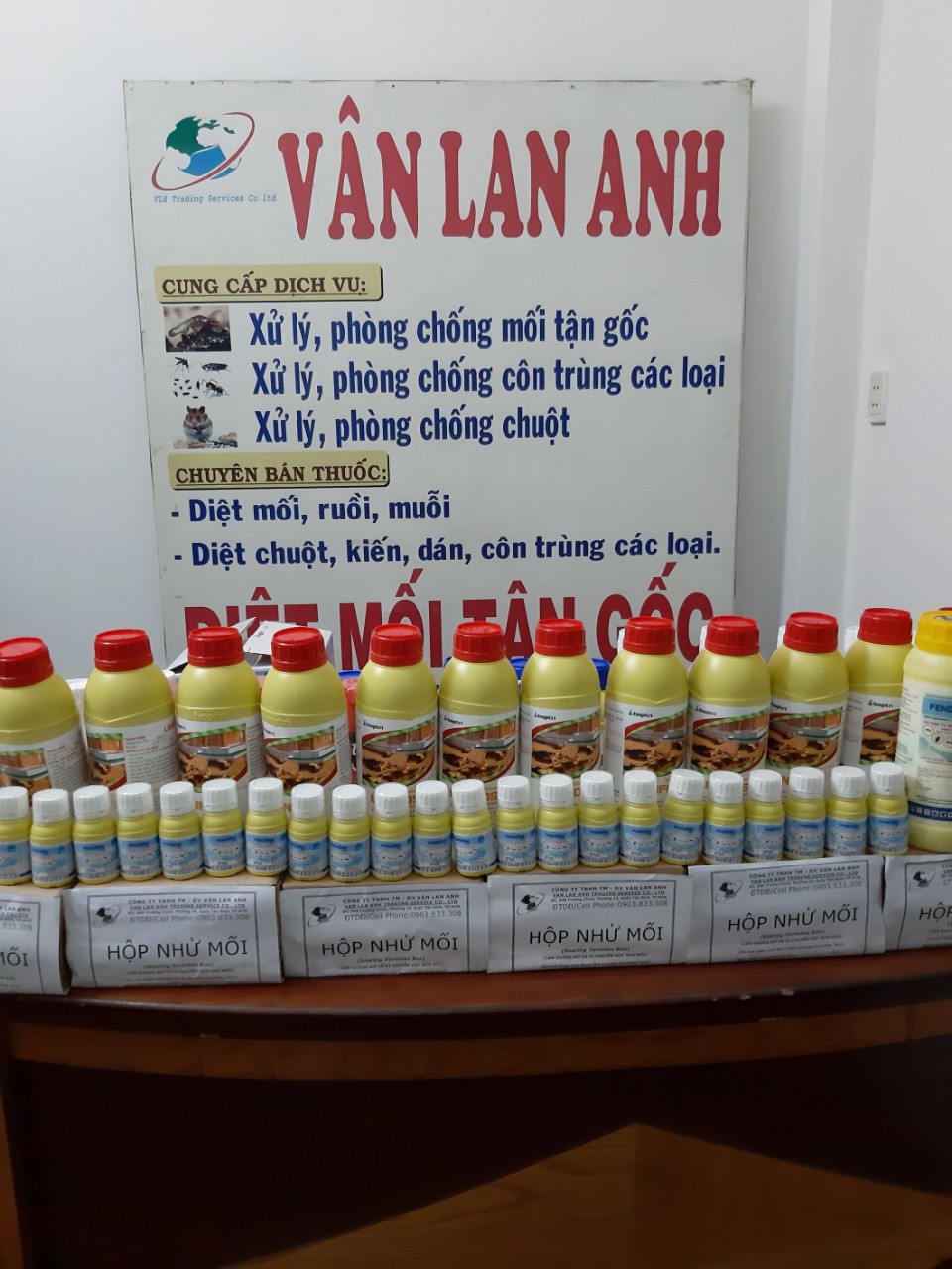 Diệt mối văn phòng giá rẻ nhất
