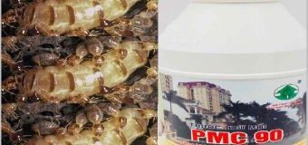 Công ty diệt mối Hoa Lâm giá rẻ