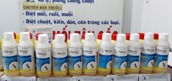 Diệt mối Gò Vấp giá rẻ chất lượng cao