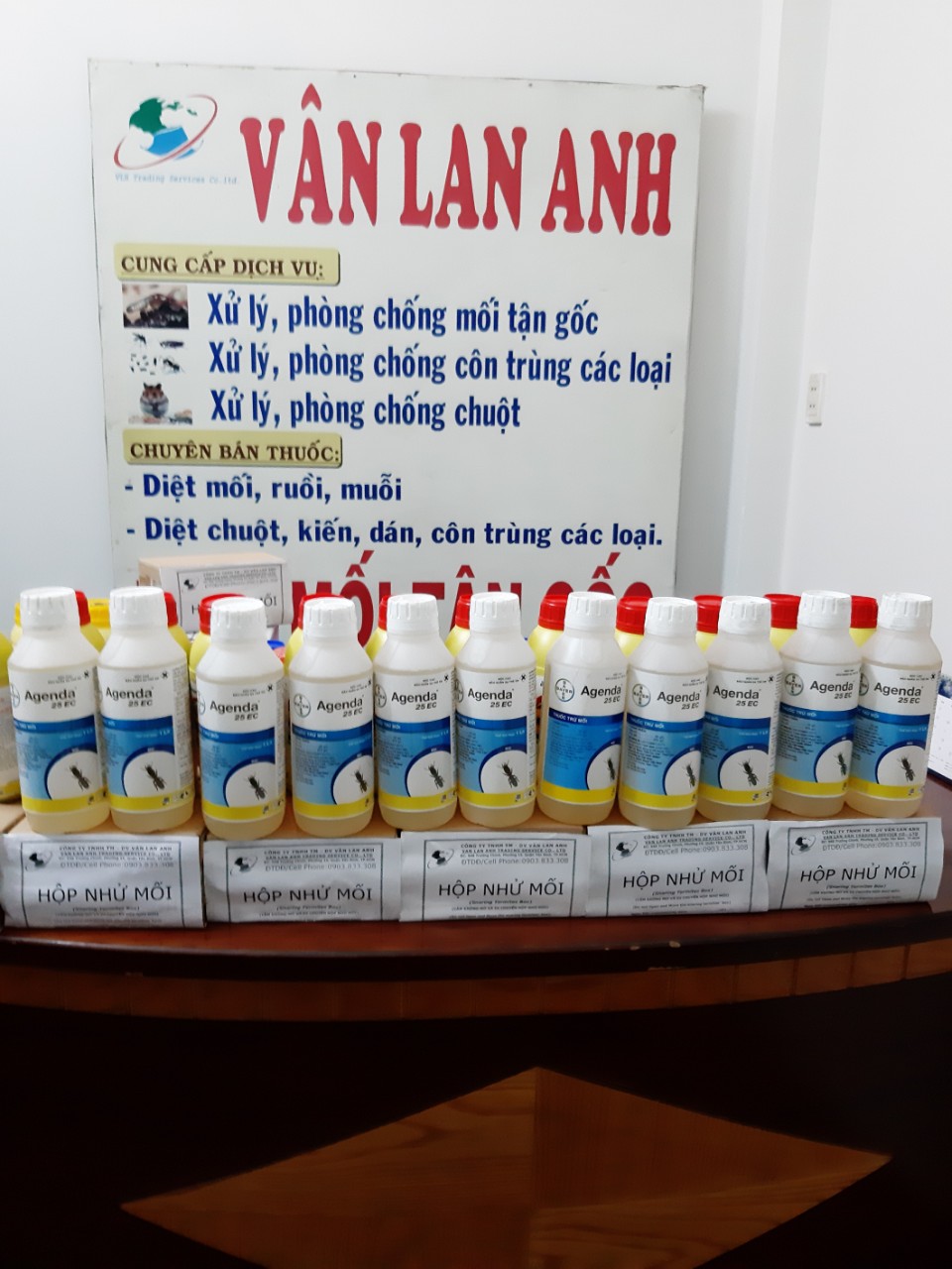 Diệt mối Gò Vấp giá rẻ chất lượng cao