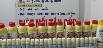 Thuốc diệt mối quận 4 hcm giá rẻ