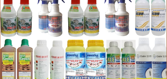 Bán thuốc diệt mối tại tphcm 24h