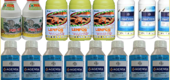 Diệt mối uy tín giá rẻ nhất