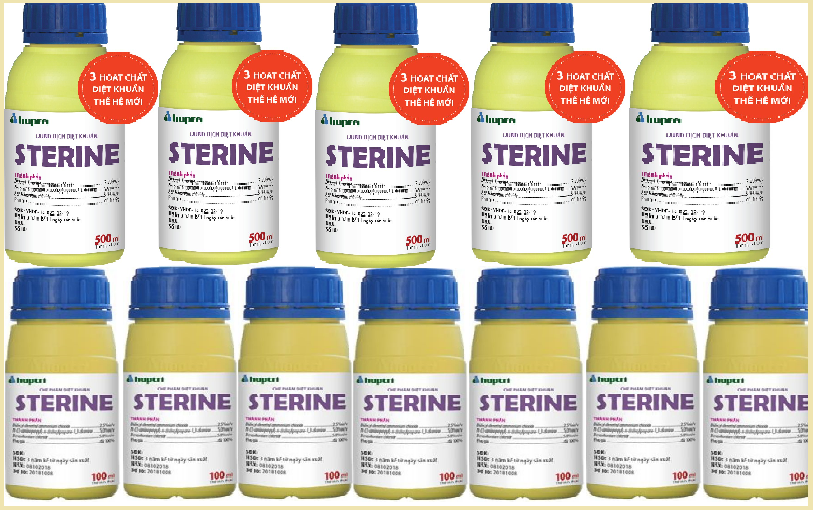 Hướng dẫn cách mua thuốc khử trùng Sterine