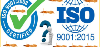 Diệt mối tại nhà Iso 9001