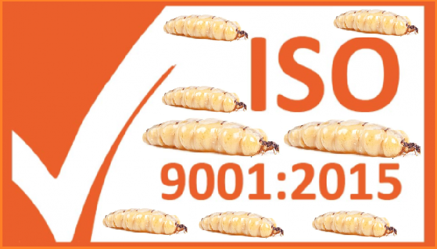 Diệt mối giá rẻ chuẩn ISO9001