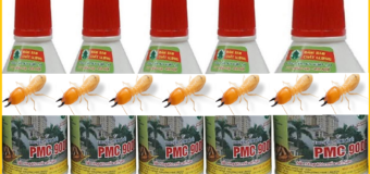 Diệt mối kiên giang bằng PMC 90