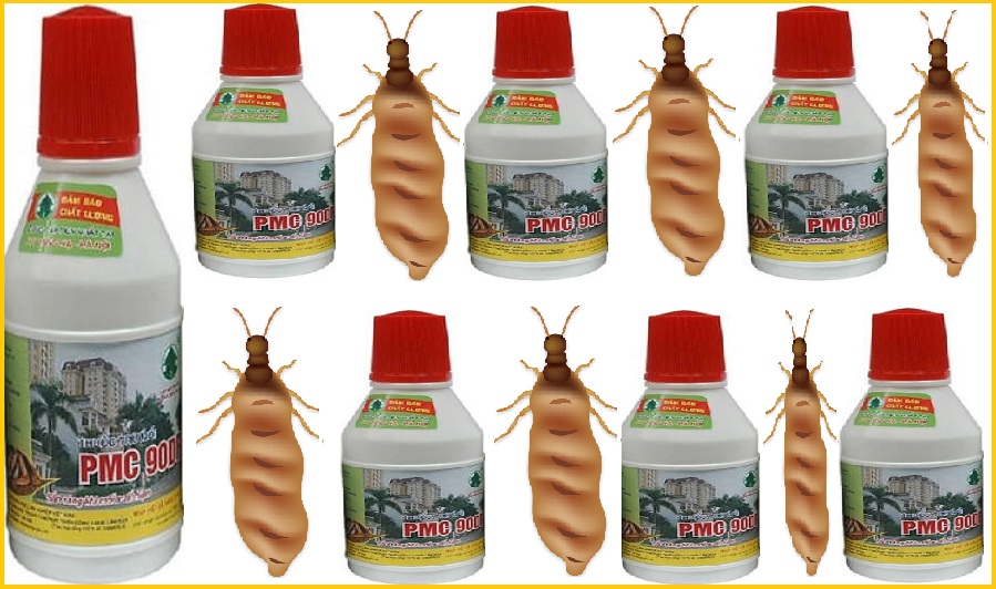 Diệt mối Bắc Giang bằng PMC 90