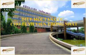 Diệt mối cho bệnh viện Thống Nhất