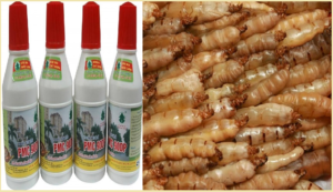 Diệt mối Hà Nam bằng thuốc PMC 90