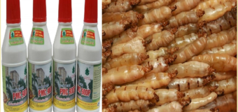 Diệt mối Hà Nam bằng thuốc PMC 90