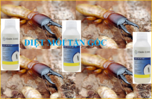 Diệt mối tận gốc hiệu quả cao