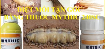 Diệt mối tận gốc giá rẻ bằng Mythic 240SC